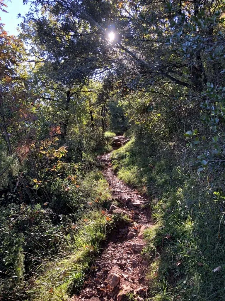 Chemin de randonnée pour rejoindre la randonnée du Saint-Sauveur à Foix