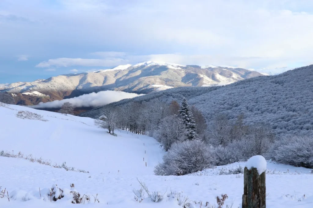 Nieve en Prat d'Albis