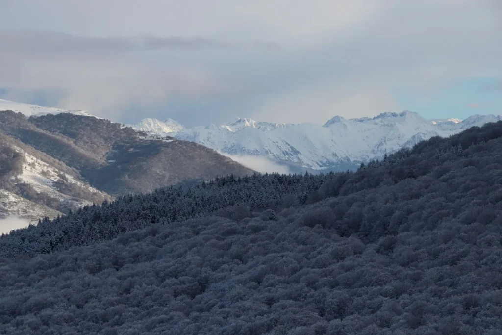 Schnee bei Prat d’Albis