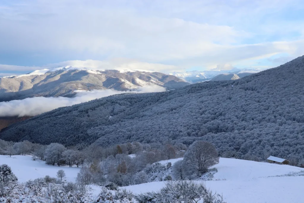 Schnee bei Prat d’Albis