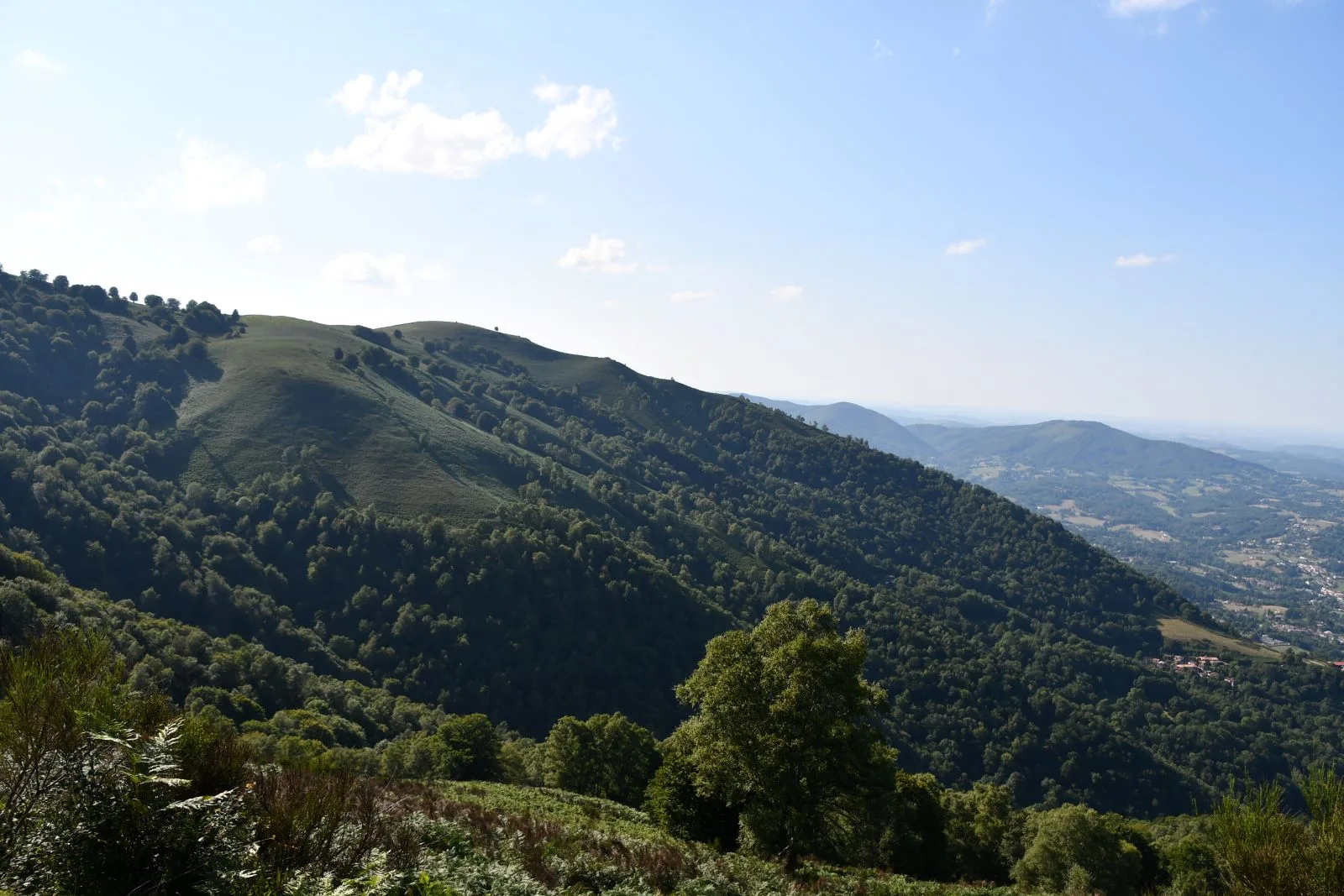 Blick von Prat d'Albis